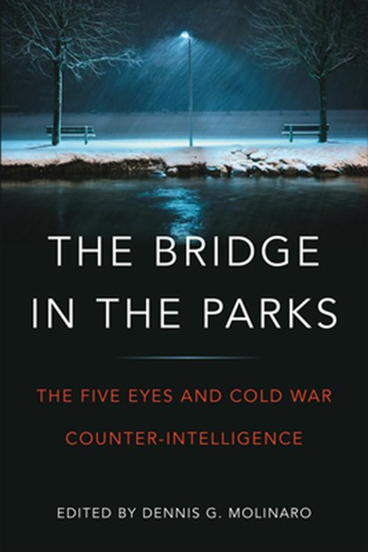 The Bridge in the Parks, Dennis G. Molinaro - Paperback - 9781487523718