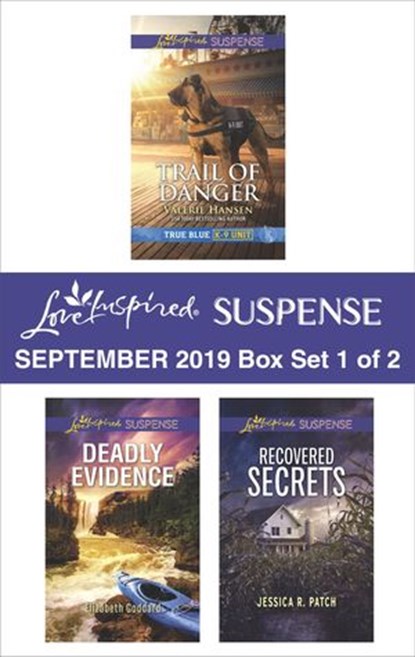 Harlequin Love Inspired Suspense September 2019 - Box Set 1 of 2, Valerie Hansen ; Elizabeth Goddard ; Jessica R. Patch - Ebook - 9781488041037