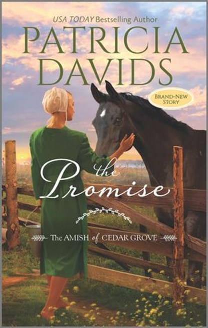 The Promise, Patricia Davids - Ebook - 9781488055935