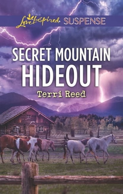 Secret Mountain Hideout, Terri Reed - Ebook - 9781488060878