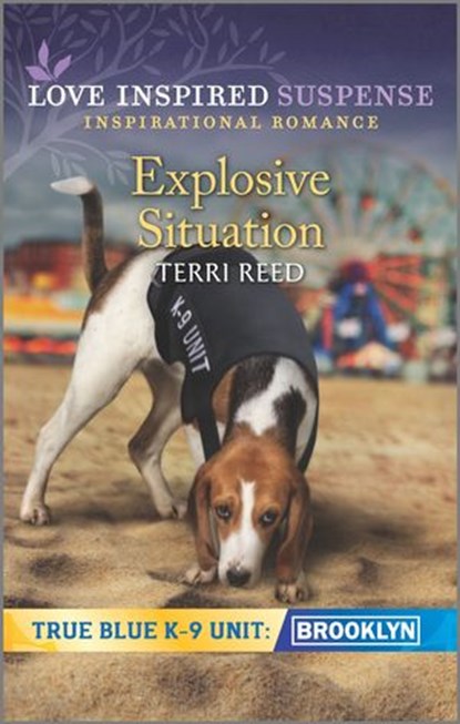 Explosive Situation, Terri Reed - Ebook - 9781488061219