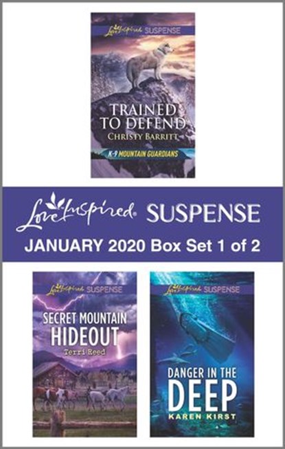 Harlequin Love Inspired Suspense January 2020 - Box Set 1 of 2, Christy Barritt ; Terri Reed ; Karen Kirst - Ebook - 9781488061578