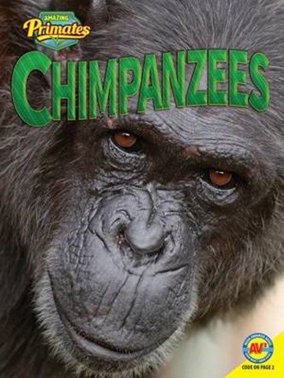 Chimpanzees, FRIESEN,  Helen Lepp - Paperback - 9781489628718