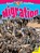 Migration, KOPP,  Megan - Paperback - 9781489636805