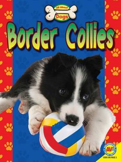 Border Collies, H. GRAY,  Susan - Paperback - 9781489650146