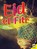 Eid Al-Fitr, Grace Jones - Paperback - 9781489678089