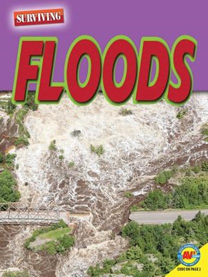 Floods, Marne Ventura - Paperback - 9781489697868