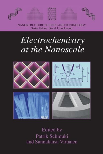 Electrochemistry at the Nanoscale, niet bekend - Paperback - 9781489986603