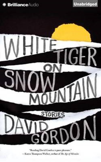 White Tiger on Snow Mountain, GORDON,  David - Overig - 9781491529126