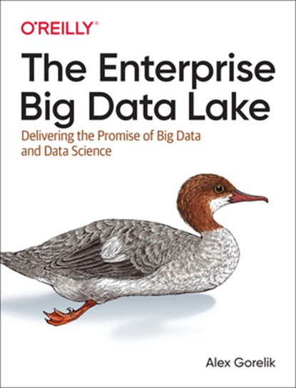 The Enterprise Big Data Lake, Alex Gorelik - Paperback - 9781491931554