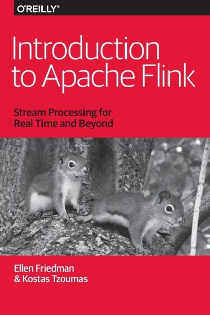 Introduction to Apache Flink, ELLEN,  M.D. Friedman ; Kostas Tzoumas - Paperback - 9781491976586