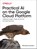 Practical AI on the Google Cloud Platform, Micheal Lanham - Paperback - 9781492075813