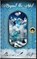 Beyond the Veil: A Caul Bearer's Handbook, Shannon Lee Wolf - Paperback - 9781492326908