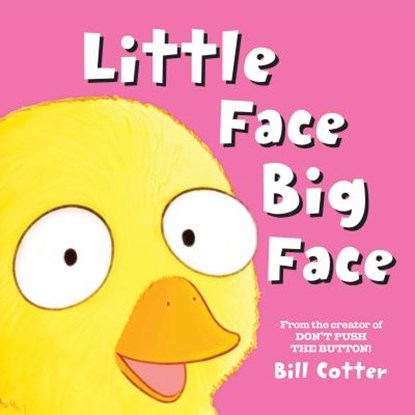 Little Face / Big Face, Bill Cotter - Gebonden - 9781492649830