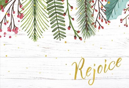 Rejoice, Sourcebooks - Gebonden - 9781492657880