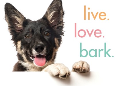 Live. Love. Bark., Sourcebooks - Gebonden - 9781492657934