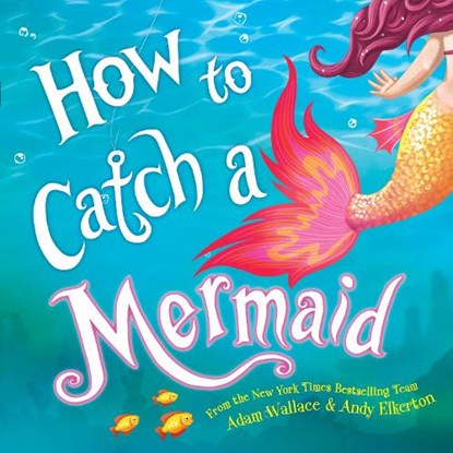 How to Catch a Mermaid, Adam Wallace - Gebonden - 9781492662471