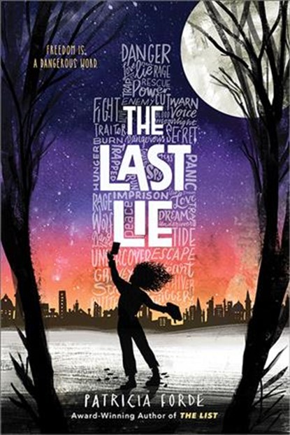 The Last Lie, Patricia Forde - Gebonden - 9781492693338