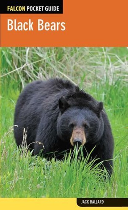 Black Bears, Jack Ballard - Ebook - 9781493004522
