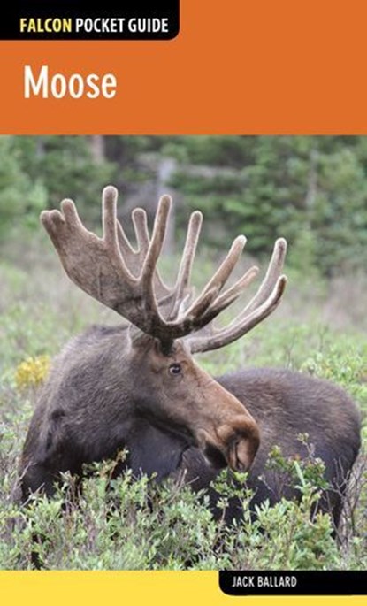 Moose, Jack Ballard - Ebook - 9781493010349