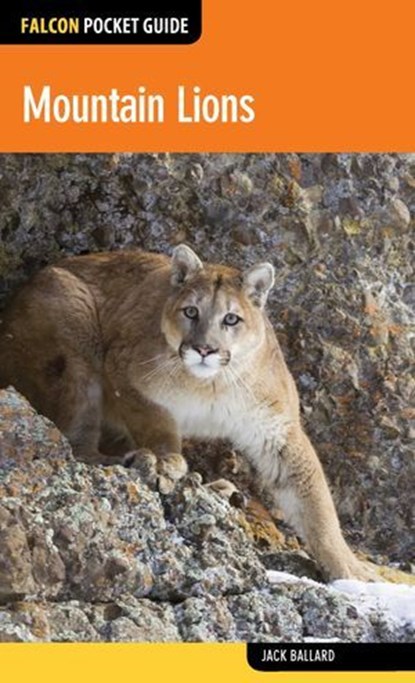 Mountain Lions, Jack Ballard - Ebook - 9781493014378