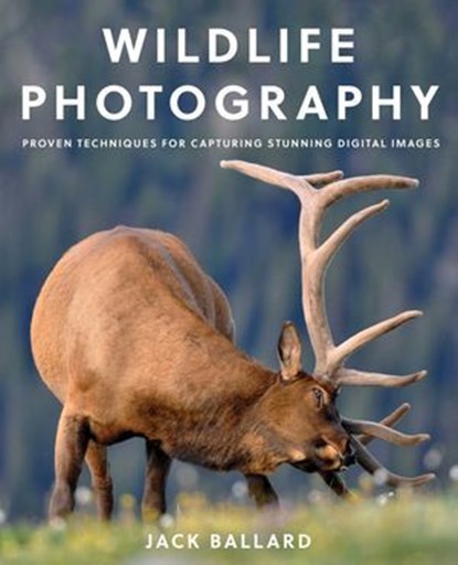 Wildlife Photography, Jack Ballard - Ebook - 9781493029563
