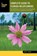 Complete Guide to Florida Wildflowers, Roger L. Hammer - Paperback - 9781493030934