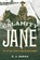 Calamity Jane, D. J. Herda - Paperback - 9781493031948