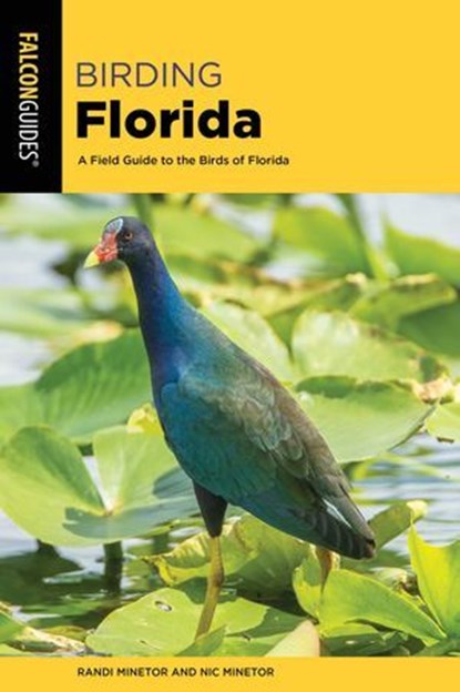 Birding Florida, Randi Minetor ; Nic Minetor - Ebook - 9781493055166
