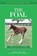 Understanding the Foal, Christina S. Cable - Paperback - 9781493074730