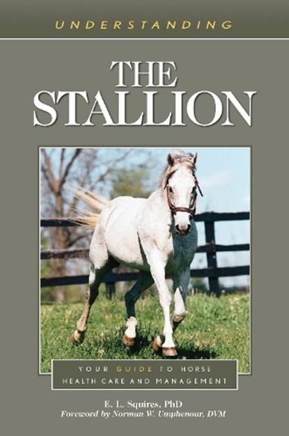 Understanding the Stallion, E. L. Squires - Paperback - 9781493077366
