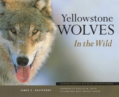 Yellowstone Wolves in the Wild, James C Halfpenny - Ebook - 9781493080427