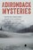 Adirondack Mysteries, Dennis Webster - Paperback - 9781493080625