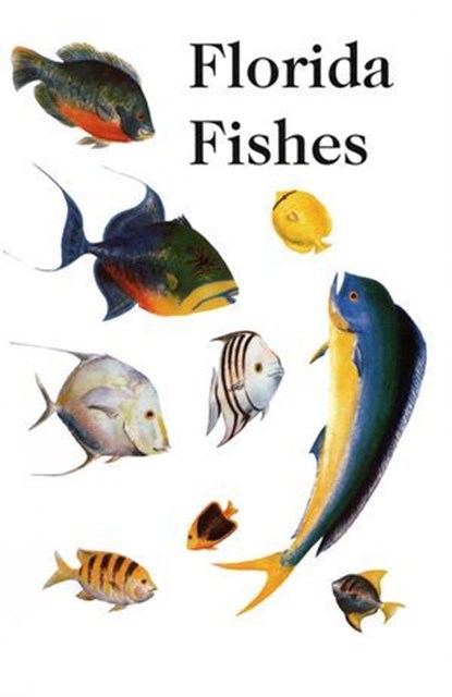 Saltwater Florida Fishes, Rube Allyn ; Charlie Allyn - Ebook - 9781493083190