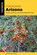 Foraging Arizona, Christopher Nyerges - Paperback - 9781493089550