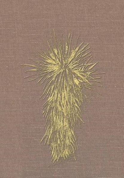 Marfa and Presidio County, Texas, Dr Louise O'Connor ; Cecilia Thompson - Gebonden - 9781493126279