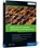 EWM with SAP S/4HANA: Architecture and Programming, Peter Zoellner ; Robert Halm ; Daniela Schapler ; Karen Schulze - Gebonden - 9781493223992