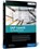 SAP LeanIX, Rene de Daniel - Paperback - 9781493227839