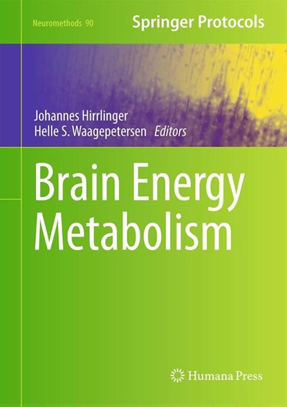 Brain Energy Metabolism, Helle S. Waagepetersen ; Johannes Hirrlinger - Gebonden - 9781493910588