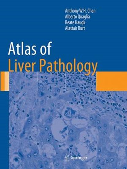 Atlas of Liver Pathology, Alberto Quaglia ; Beate Haugk - Paperback - 9781493943531