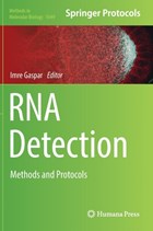 RNA Detection | Imre Gaspar | 