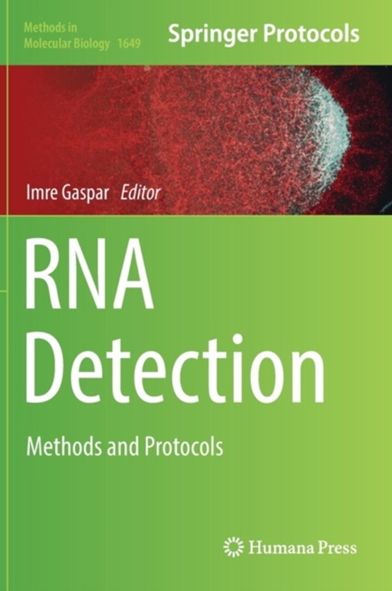RNA Detection