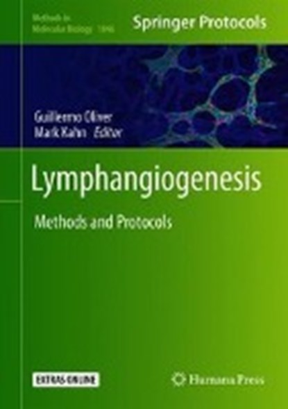 Lymphangiogenesis, OLIVER,  Guillermo ; Kahn, Mark L. - Gebonden - 9781493987115