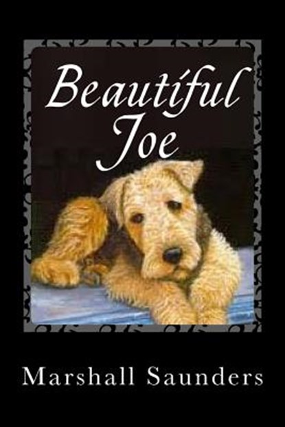 Beautiful Joe, Marshall Saunders - Paperback - 9781494873745