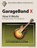 Garageband X, ROTHERMICH,  Edgar - Paperback - 9781494897963