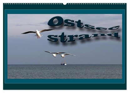 In the Company of Redwoods, David Bruce Casterson - Paperback - 9781495106606