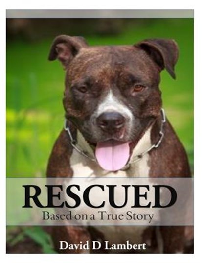 Rescued: Based on a True Dog Story, David D. Lambert - Paperback - 9781496069894