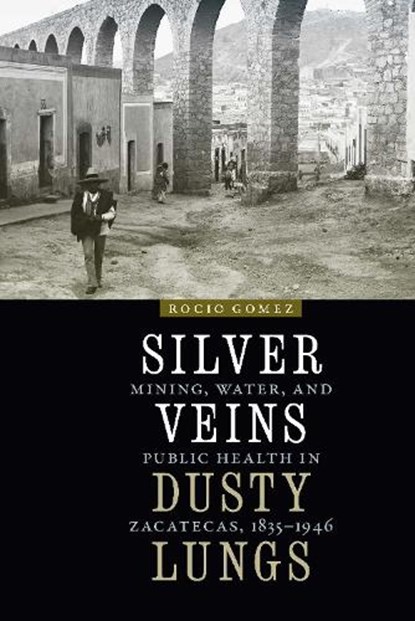 Silver Veins, Dusty Lungs, Rocio Gomez - Paperback - 9781496221117