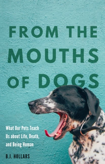 From the Mouths of Dogs, B.J. Hollars - Paperback - 9781496229816