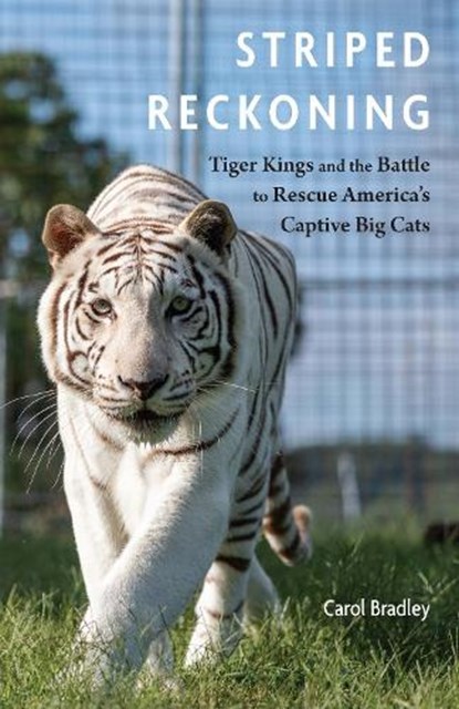 Striped Reckoning, Carol Bradley - Paperback - 9781496247957
